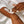 Load image into Gallery viewer, Moisturise That Melanin Hand & Body Lotion