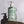 Load image into Gallery viewer, Handle Melanin with Care - Green Tea Hand & Body Lotion