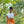Load image into Gallery viewer, Sweet Like Chocolate - Crop Top