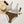 Load image into Gallery viewer, Chocolate Mami Bikini