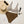 Load image into Gallery viewer, Sweet Like Chocolate - Bikini
