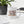 Load image into Gallery viewer, Pretty Period Glossy Mug